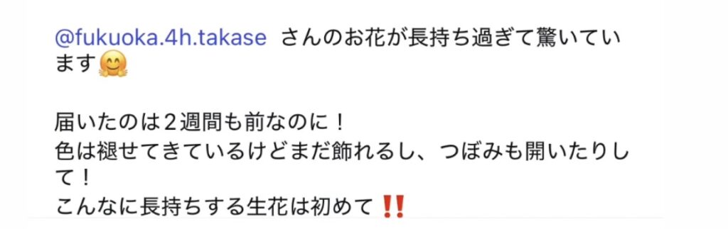 お客様の声