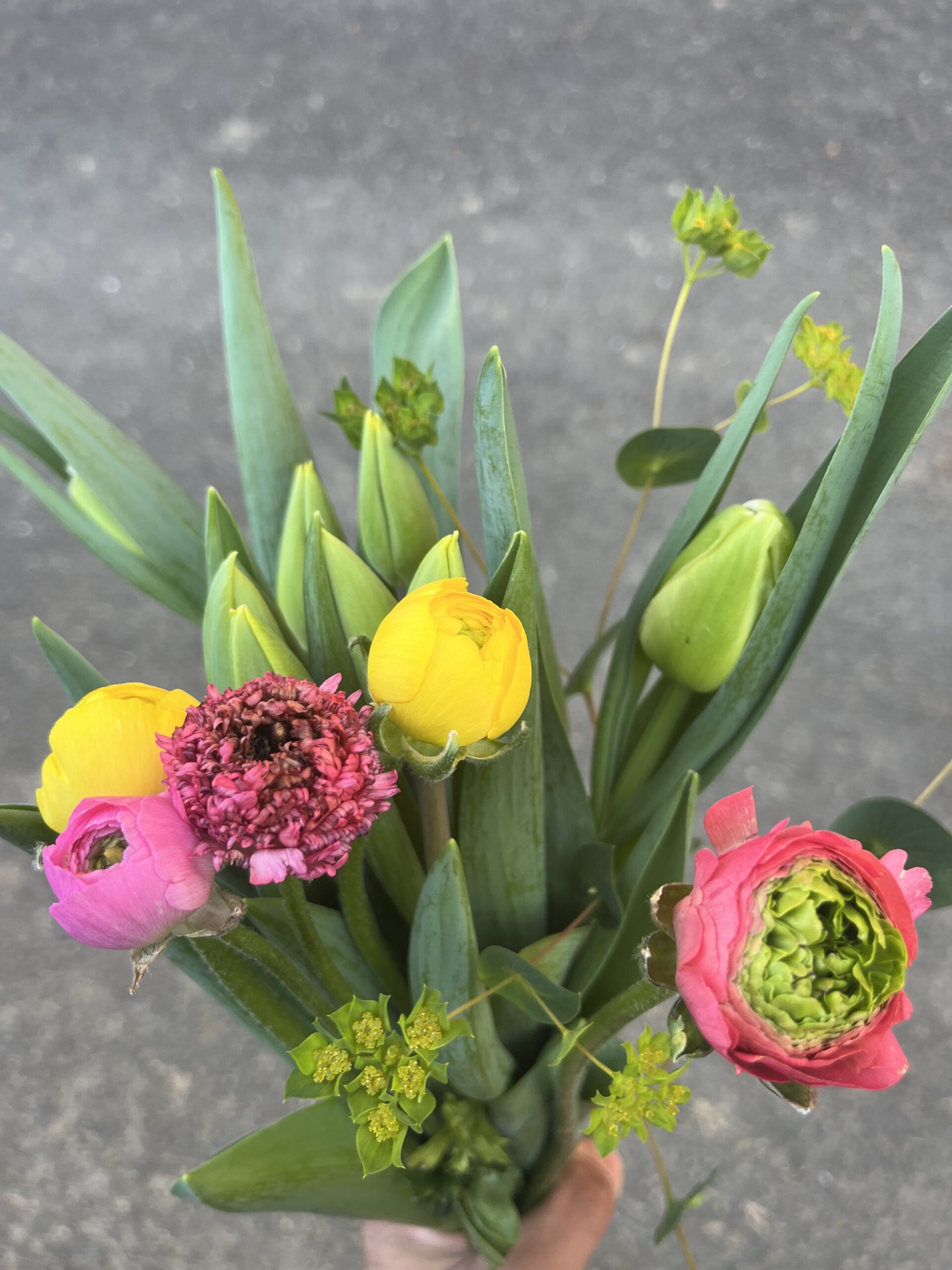 春の先取りセット