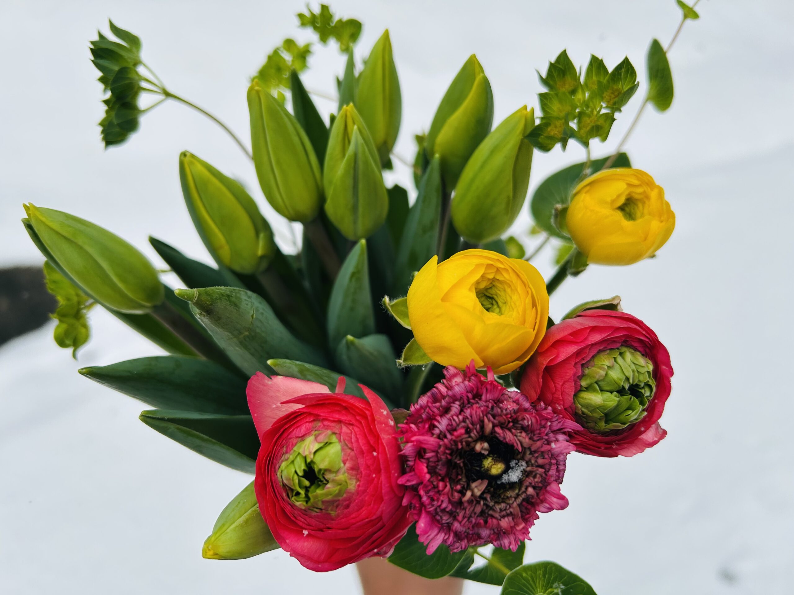 初売り限定セット