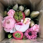 コットンキャンディセット