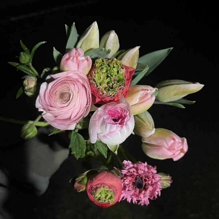 コットンキャンディセット