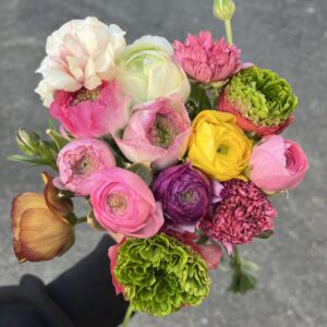 レインボーラナンキュラスセット