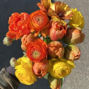 陽だまりセット