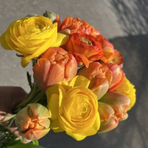 陽だまりセット