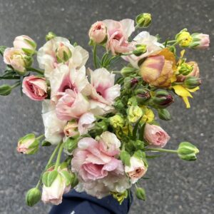 ラックスフィナーレセット