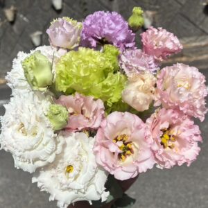 lisianthus-mix