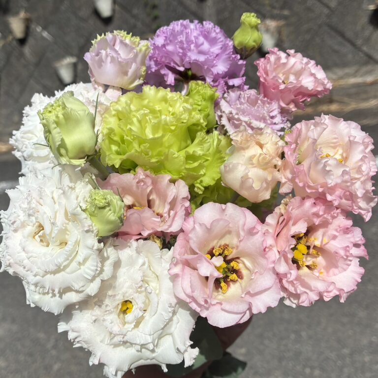 lisianthus-mix